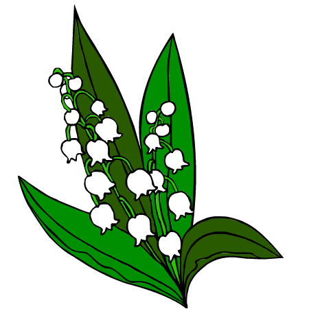 muguet